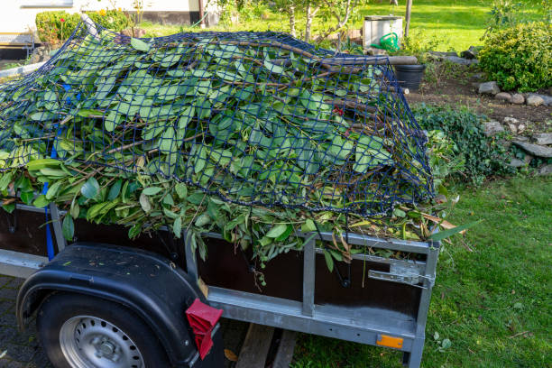 Best Dumpster Rental Services  in Cleveland, GA